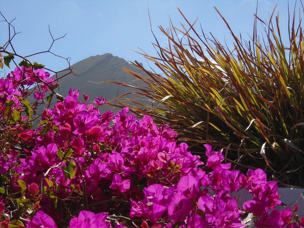 El Cortijo Eco Finca Hotel เย ภายนอก รูปภาพ