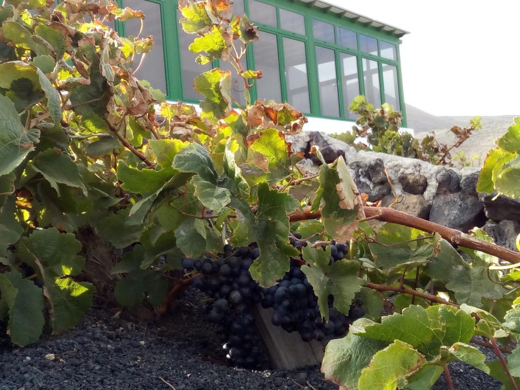 El Cortijo Eco Finca Hotel เย ภายนอก รูปภาพ